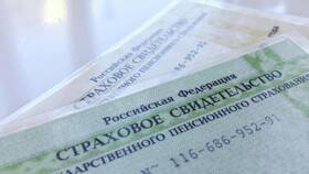 Что можно оформить по СНИЛС мошенникам в Конверс