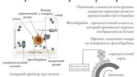 Для чего используют принтер