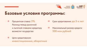 Для чего предназначены целевые кредиты в Конверс