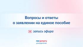 Как подать заявление на единое пособие через Госуслуги в Конверс