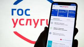 Как получить справку из ЕГРН через Госуслуги в Конверс