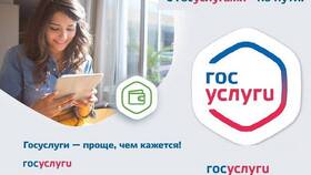 Как правильно оформить выплаты через Госуслуги в Конверс