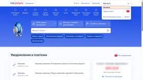 Почему Госуслуги не открываются на телефоне Android в Конверс