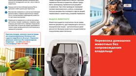 Состав перевозочного документа РЖД в Конверс