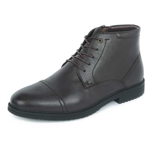 Ботинки мужские Pierre Cardin 710018537 коричневые 42 RU в Конверс
