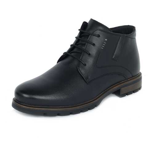 Ботинки мужские T.Taccardi 25907030 черные 42 RU в Конверс