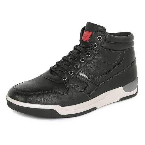 Ботинки мужские T.Taccardi K5141MH-2A черные 43 RU в Конверс