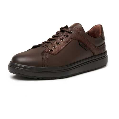 Кеды мужские Pierre Cardin TR-LR-992 коричневые 42 RU в Конверс