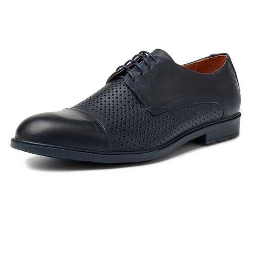 Туфли мужские Alessio Nesca M6118004 синие 43 RU в Конверс