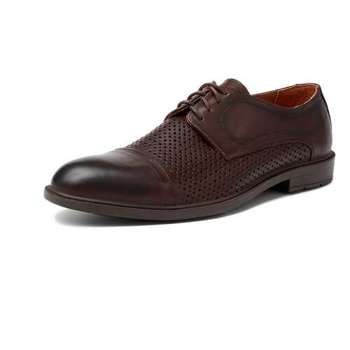 Туфли мужские Alessio Nesca M6118005 коричневые 44 RU в Конверс