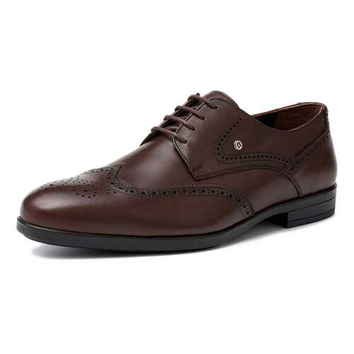 Туфли мужские Pierre Cardin 03407020 коричневые 43 RU в Конверс
