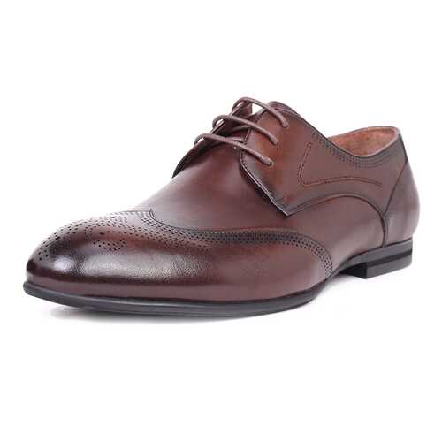 Туфли мужские Pierre Cardin 710017789 коричневые 40 RU в Конверс