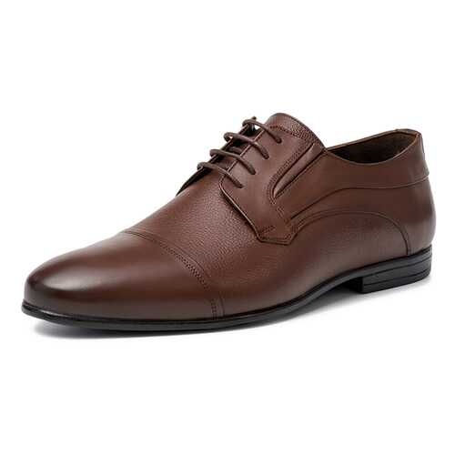 Туфли мужские Pierre Cardin TR-RA-K22 коричневые 43 RU в Конверс