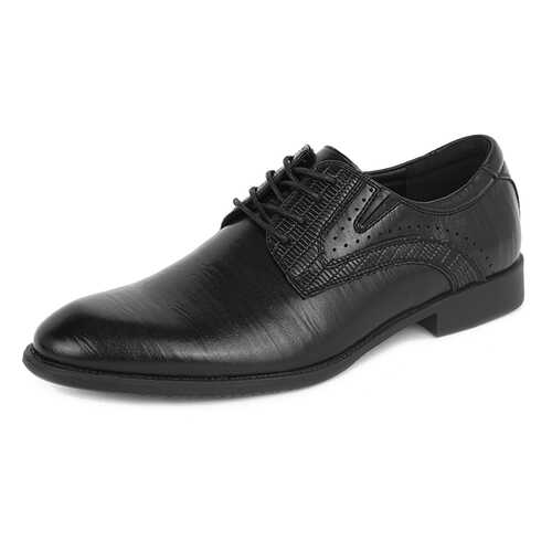 Туфли мужские T.Taccardi 03407130 черные 44 RU в Конверс