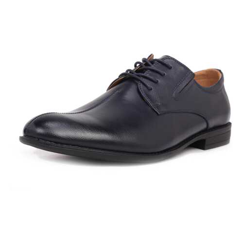 Туфли мужские T.Taccardi 710017996 синие 44 RU в Конверс